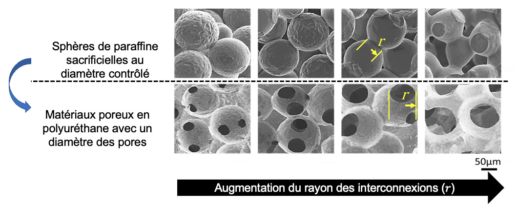generation-de-materiaux-poreux-en-polyurethane-avec-architecture-controlee