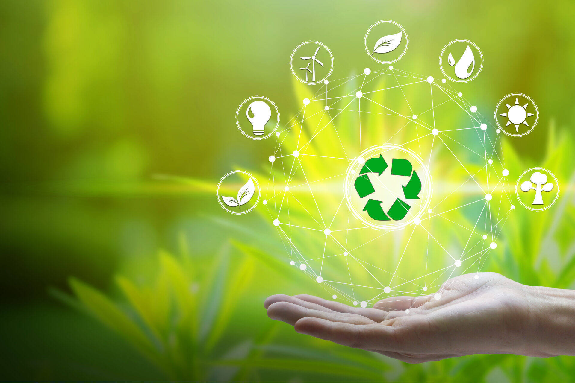 PYRAMID : une innovation pour la valorisation durable des digestats de méthanisation