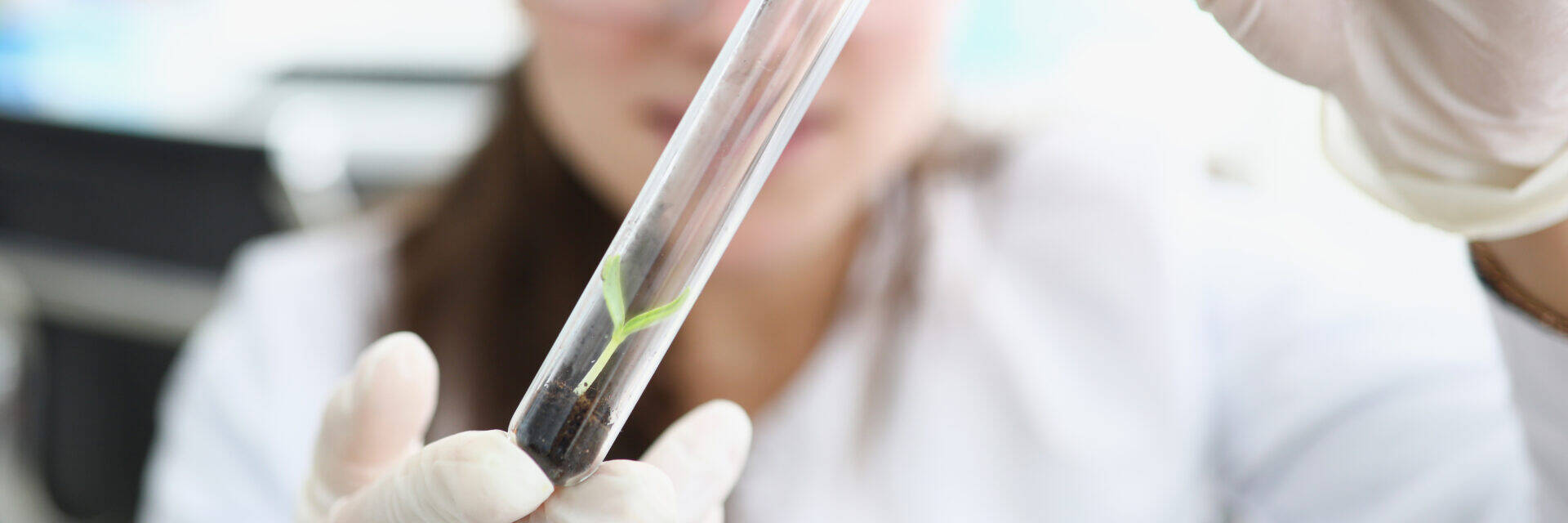 Matériaux éco-conçus pour une agriculture durable – Le LabCom MATIAIRE