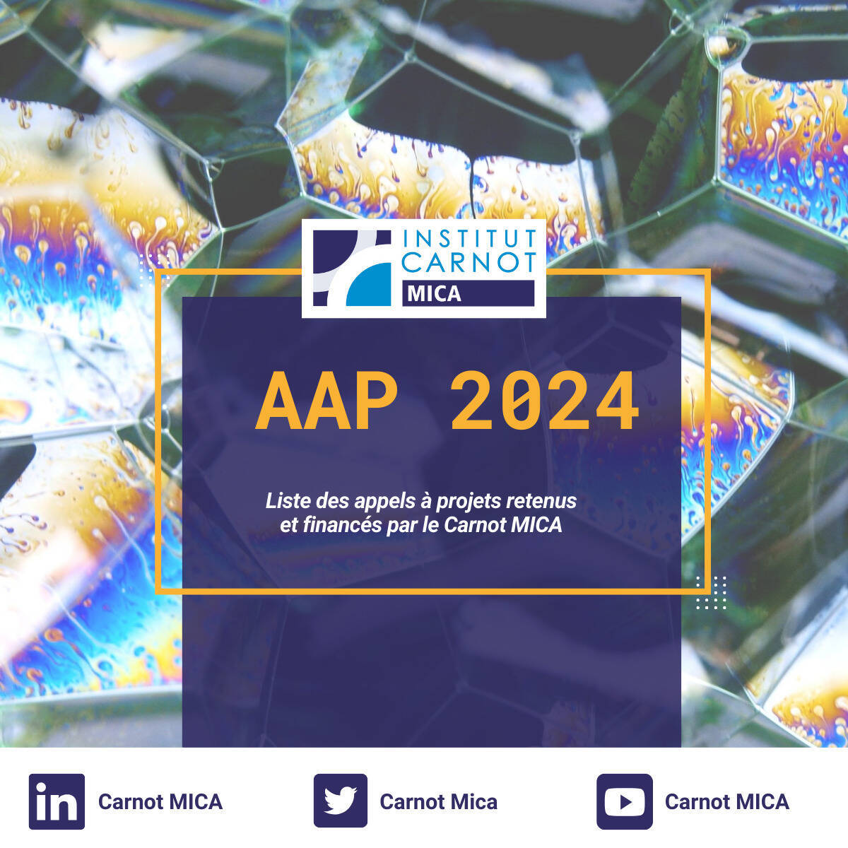 aap-mica-2024