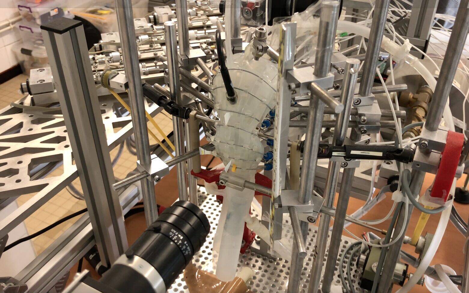 Des solutions innovantes pour les troubles de la déglutition : le projet PASSE soutenu par le Carnot MICA