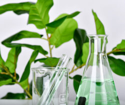 ACTIVIAFLOW : UN NOUVEAU LABORATOIRE COMMUN POUR UNE CHIMIE PLUS VERTUEUSE