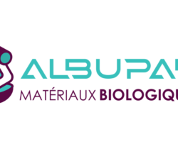 ALBUPAD, nouvelle startup qui développe un matériau pour une délivrance plus performante des médicaments