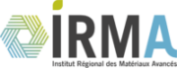 logo_IRMA