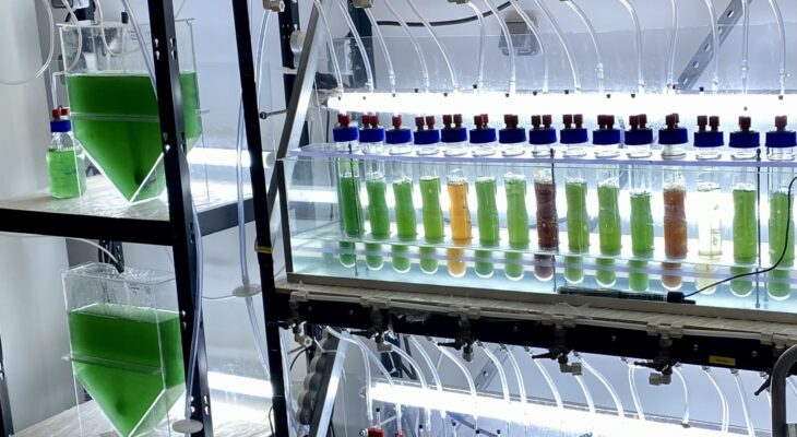 PYRAMID : une solution innovante pour la valorisation des digestats issus de la méthanisation