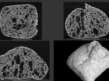 Tomography platform