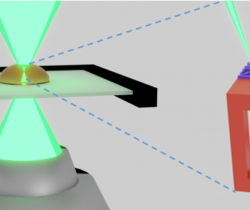 Des microstructures 3D aux propriétés de surface « vivantes »